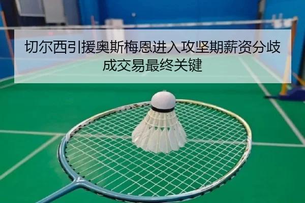 切尔西引援奥斯梅恩进入攻坚期薪资分歧成交易最终关键